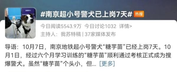 超小号警犬算雇佣“童工”吗？解答来了！