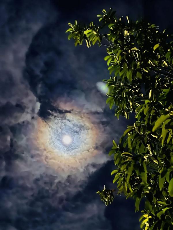 月晕、火烧云、“鱼鳞云”......最近南宁天空很忙!还将有流星雨 月晕、火烧云、“鱼鳞云”......最近南宁天空很忙!还将有流星雨