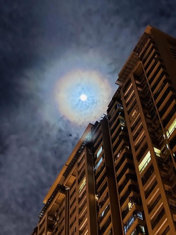 月晕、火烧云、“鱼鳞云”......最近南宁天空很忙!还将有流星雨 月晕、火烧云、“鱼鳞云”......最近南宁天空很忙!还将有流星雨