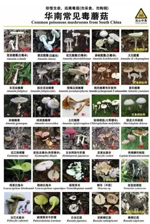 紧急提醒：不要吃！台州一对夫妻险丧命