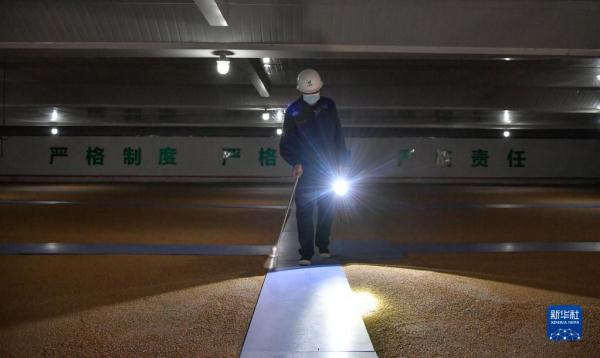 大数据监控 内环流控温——科学储粮守好“大国粮仓”