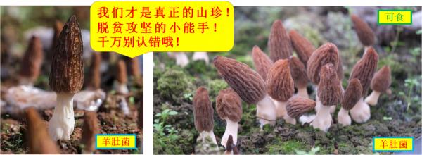紧急提醒：不要吃！台州一对夫妻险丧命