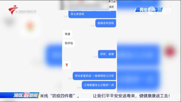 新晋宠物“小小鸡”走红，每天可以定时“收鸡蛋”？专家不提倡