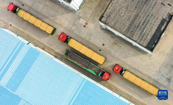 大数据监控 内环流控温——科学储粮守好“大国粮仓”