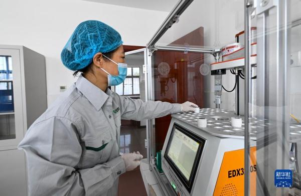 大数据监控 内环流控温——科学储粮守好“大国粮仓”