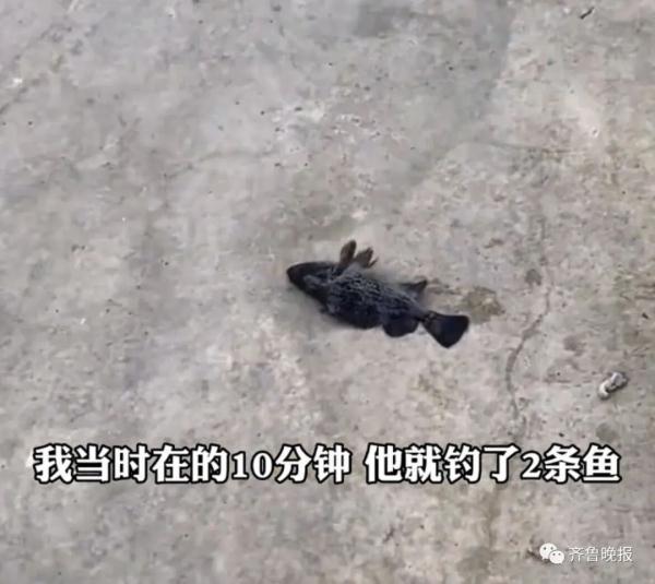 山东大爷在马路边排水孔钓出海鱼!一番操作惊呆网友... 山东大爷在马路边排水孔钓出海鱼!一番操作惊呆网友...