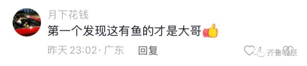山东大爷在马路边排水孔钓出海鱼!一番操作惊呆网友... 山东大爷在马路边排水孔钓出海鱼!一番操作惊呆网友...