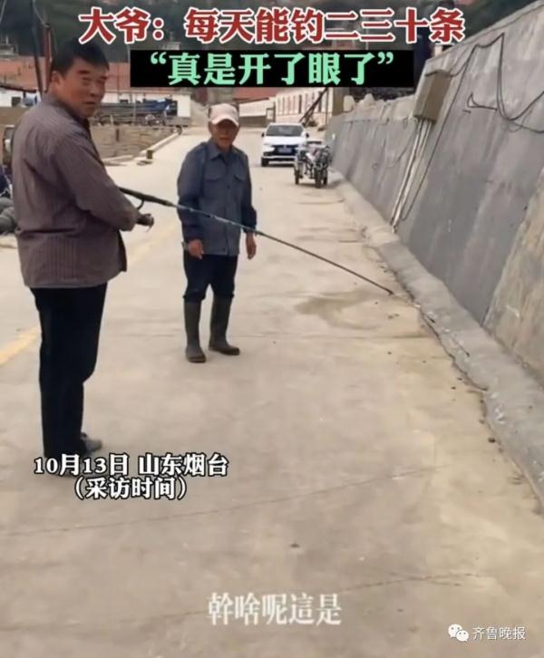 山东大爷在马路边排水孔钓出海鱼!一番操作惊呆网友... 山东大爷在马路边排水孔钓出海鱼!一番操作惊呆网友...