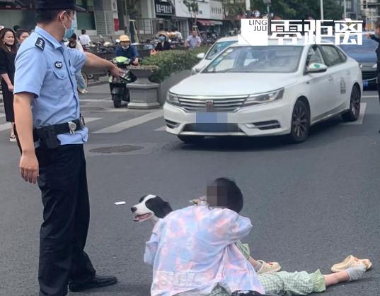 女子被撞受伤！宠物狗守护主人，并跳上担架陪伴