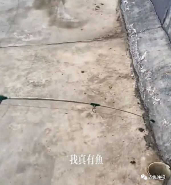 山东大爷在马路边排水孔钓出海鱼!一番操作惊呆网友... 山东大爷在马路边排水孔钓出海鱼!一番操作惊呆网友...