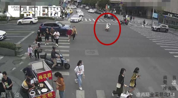 女子被撞受伤！宠物狗守护主人，并跳上担架陪伴