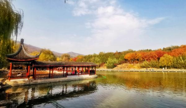 不出京、不远行！丰台这些地方就能感受色彩斑斓的秋.......