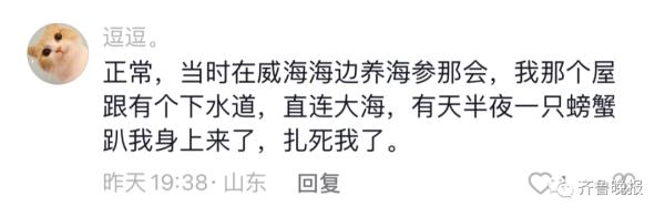 山东大爷在马路边排水孔钓出海鱼!一番操作惊呆网友... 山东大爷在马路边排水孔钓出海鱼!一番操作惊呆网友...
