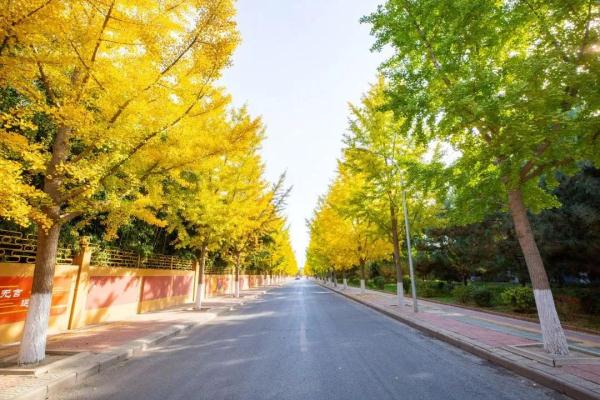 不出京、不远行！丰台这些地方就能感受色彩斑斓的秋.......