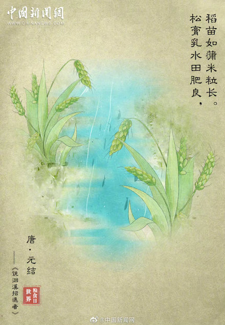 和“粮食”有关的诗句，你能想到哪些？