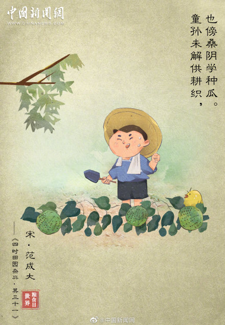和“粮食”有关的诗句，你能想到哪些？
