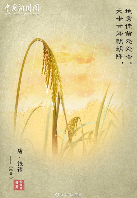 和“粮食”有关的诗句，你能想到哪些？
