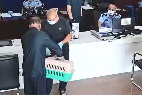 理发店飞来一只“小可爱”!竟是国家二级保护动物 理发店飞来一只“小可爱”!竟是国家二级保护动物