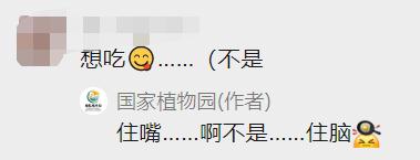 “世界上最臭的花”结果实了！网友：看起来很好吃