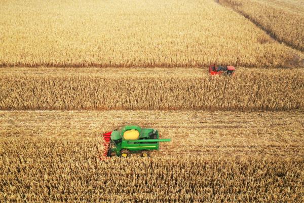 “粮”成美景 &nbsp;“北方粮仓”内蒙古秋收进度已超八成