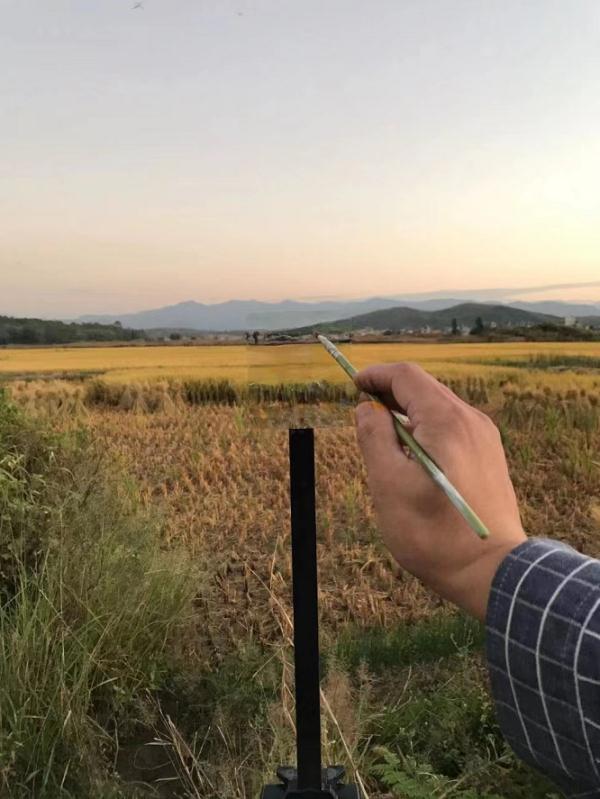 一支笔把大树画没了?十几万人看这个湖南小伙“变魔术” 一支笔把大树画没了?十几万人看这个湖南小伙“变魔术”