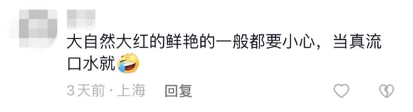 路边发现神秘野果，已“销声匿迹”多年！网友：浑身都是宝
