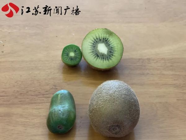 新奇水果扎堆上市，你吃过吗？
