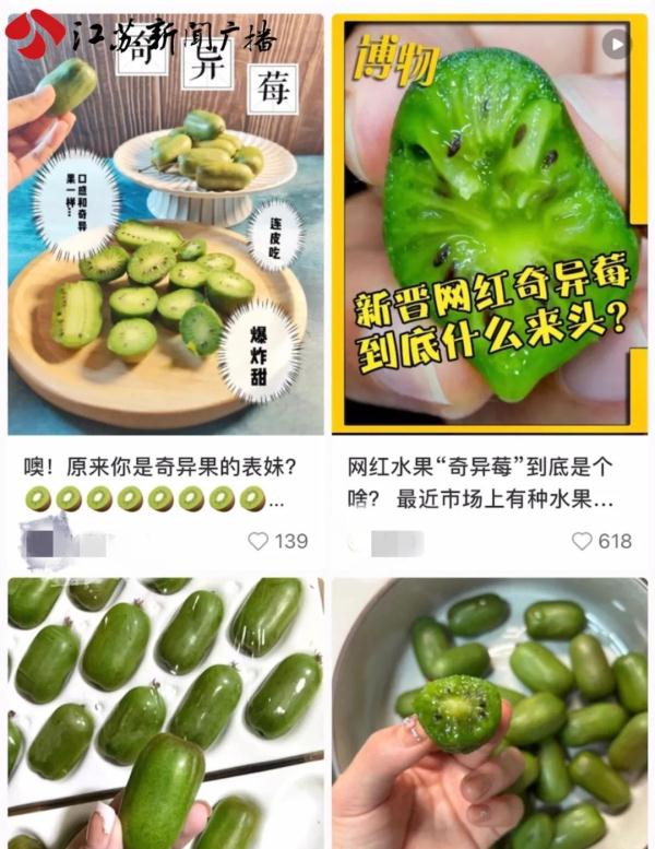 新奇水果扎堆上市，你吃过吗？