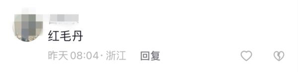 路边发现神秘野果，已“销声匿迹”多年！网友：浑身都是宝