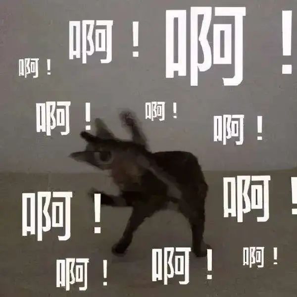 忍住不笑!上海宝妈崩溃求助:孩子的书包弄丢了,要重补一个月作业?! 忍住不笑!上海宝妈崩溃求助:孩子的书包弄丢了,要重补一个月作业?!