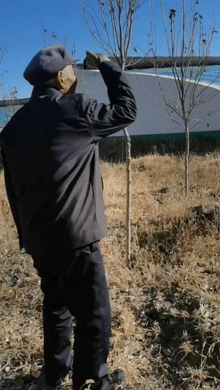 老父亲忘记儿子已去世,经常外出寻找!全村默契守护“秘密” 老父亲忘记儿子已去世,经常外出寻找!全村默契守护“秘密”