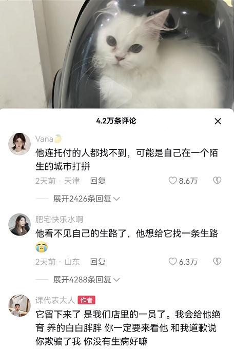 “我肿瘤晚期，只能送它来打工！”这个遗弃猫咪的人，让网友破防