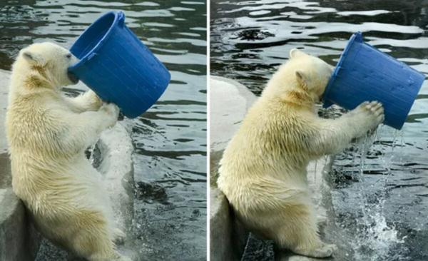 明天迎来秋季最后一个节气，上海的干燥还将延续，对付“秋燥”怎么做？