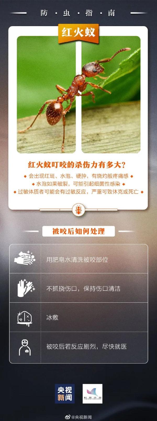 重要提醒！看到这种小土堆，千万别碰！