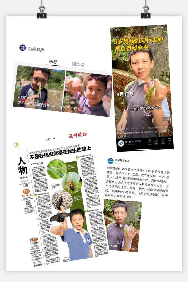 全网近30万粉丝，深圳9岁“昆虫少年”火了！