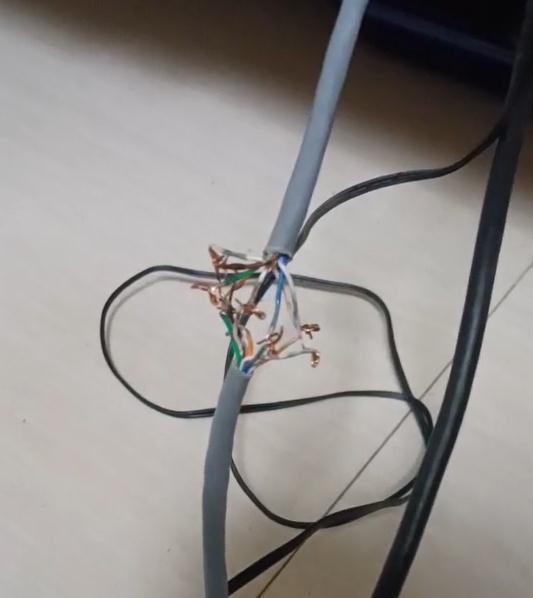 笑哭！12岁男孩沉迷看电视，妈妈怒剪网线，结果猝不及防…