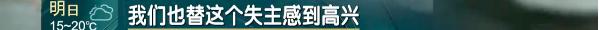 长点心！沪一女子误扔十几万钻石项链，翻了12多吨垃圾后…