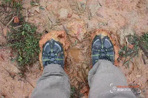 这位高铁司机干的好事，藏不住了！