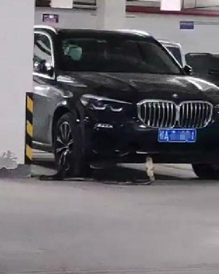 长3米重10斤!南宁一小区车库出现眼镜王蛇,消防紧急提醒 长3米重10斤!南宁一小区车库出现眼镜王蛇,消防紧急提醒