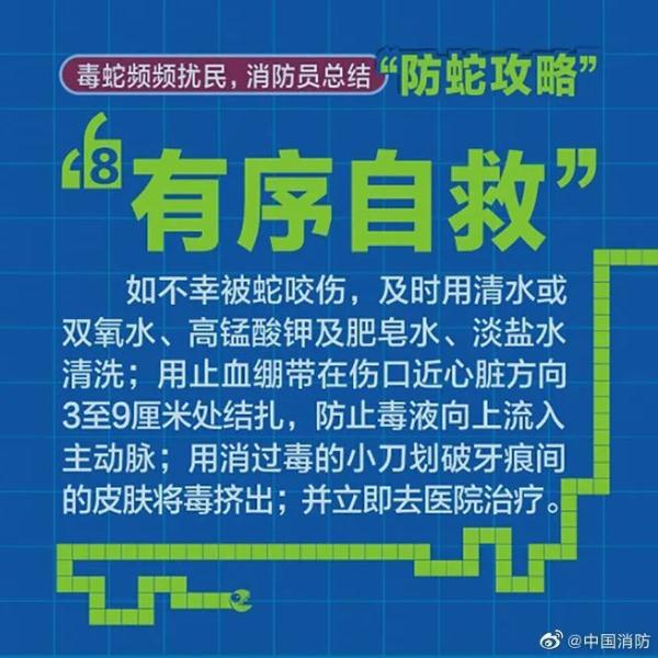 长3米重10斤!南宁一小区车库出现眼镜王蛇,消防紧急提醒 长3米重10斤!南宁一小区车库出现眼镜王蛇,消防紧急提醒