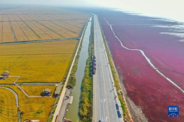 湿地之美丨辽宁辽河三角洲湿地