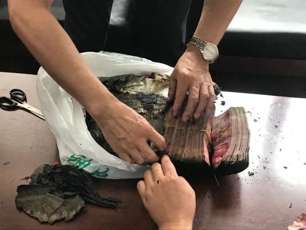 当钞票铺满地板…… 当钞票铺满地板……