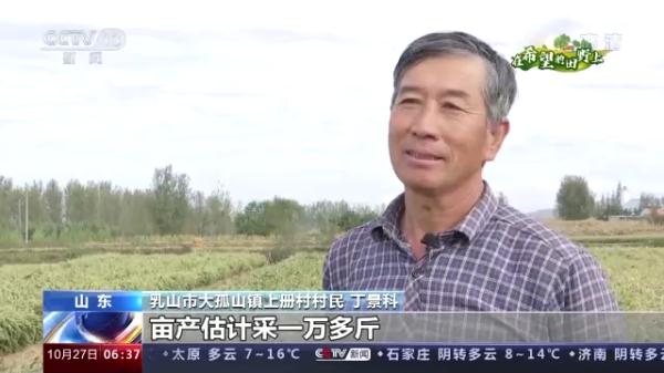 多地特色经济作物迎来收获 助农持续增收
