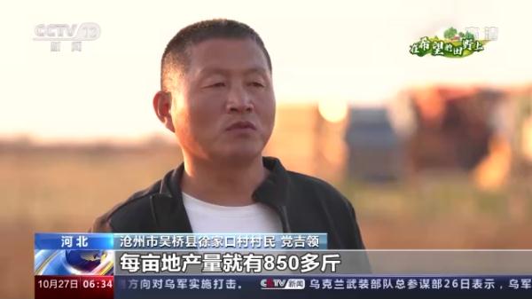 多地特色经济作物迎来收获 助农持续增收