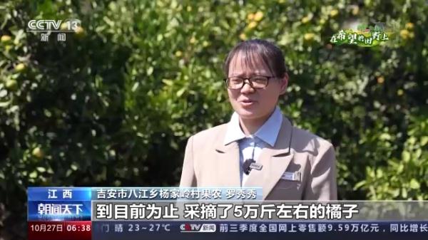 多地特色经济作物迎来收获 助农持续增收