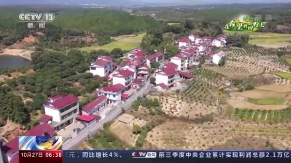 多地特色经济作物迎来收获 助农持续增收
