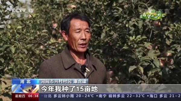 多地特色经济作物迎来收获 助农持续增收