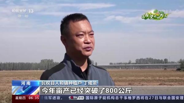 多地特色经济作物迎来收获 助农持续增收