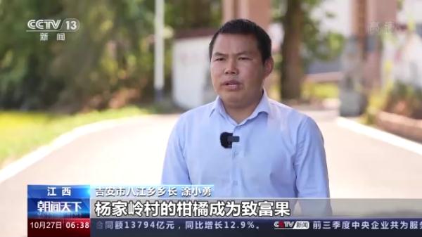 多地特色经济作物迎来收获 助农持续增收