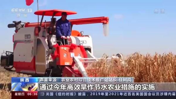 多地特色经济作物迎来收获 助农持续增收